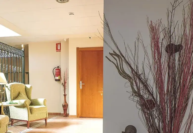 Hogar de Mayores Pino Grande Sevilla