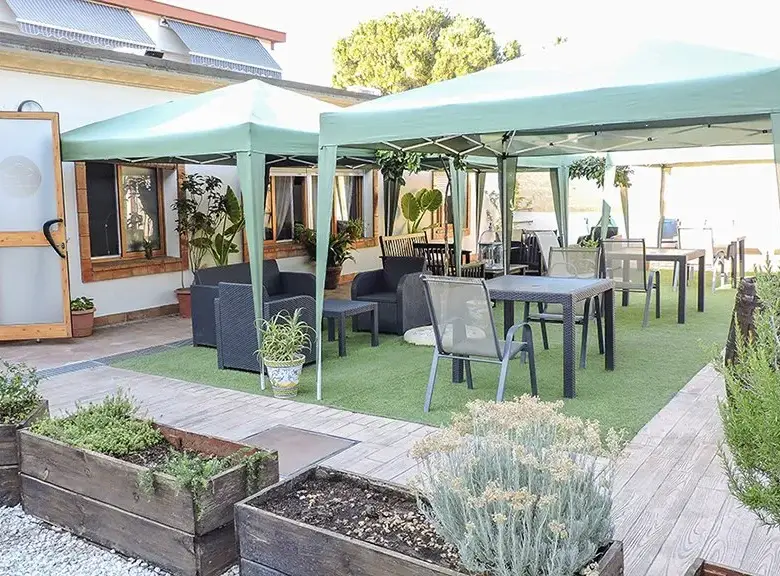 Hogar de Mayores Pino Grande Sevilla Jardin