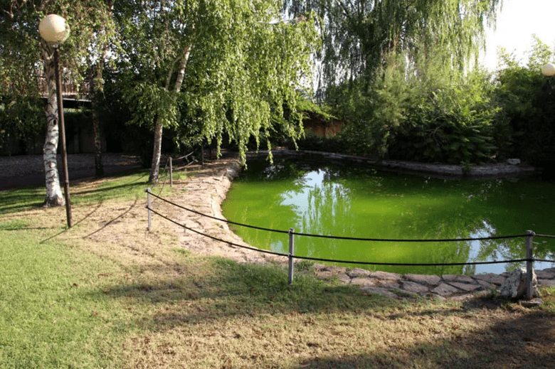 centro-clinico-geriatrico-pinar-de-aravaca-jardin