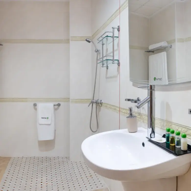 domusvi-santa-gema-wc-residencia-de-mayores