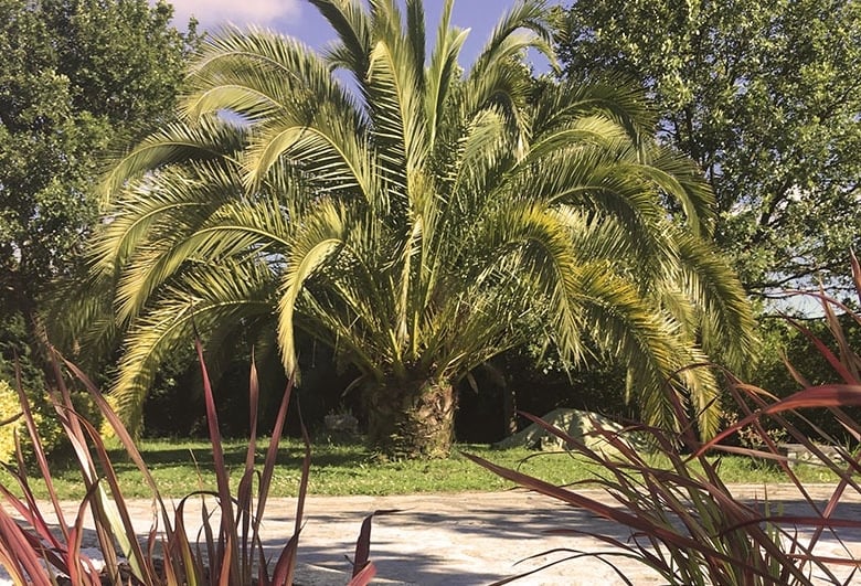 residencia-bizia-mayores-jardin