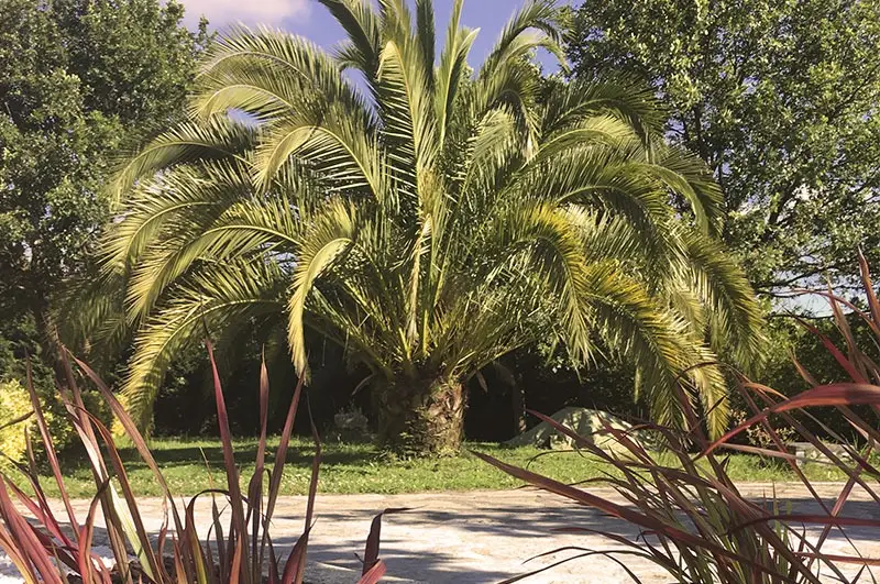 residencia-bizia-mayores-jardin