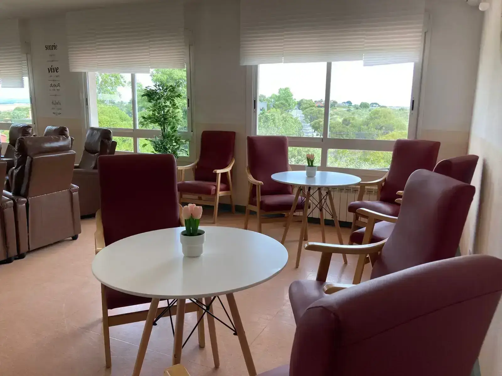 carpe-diem-residencia-mayores-salon