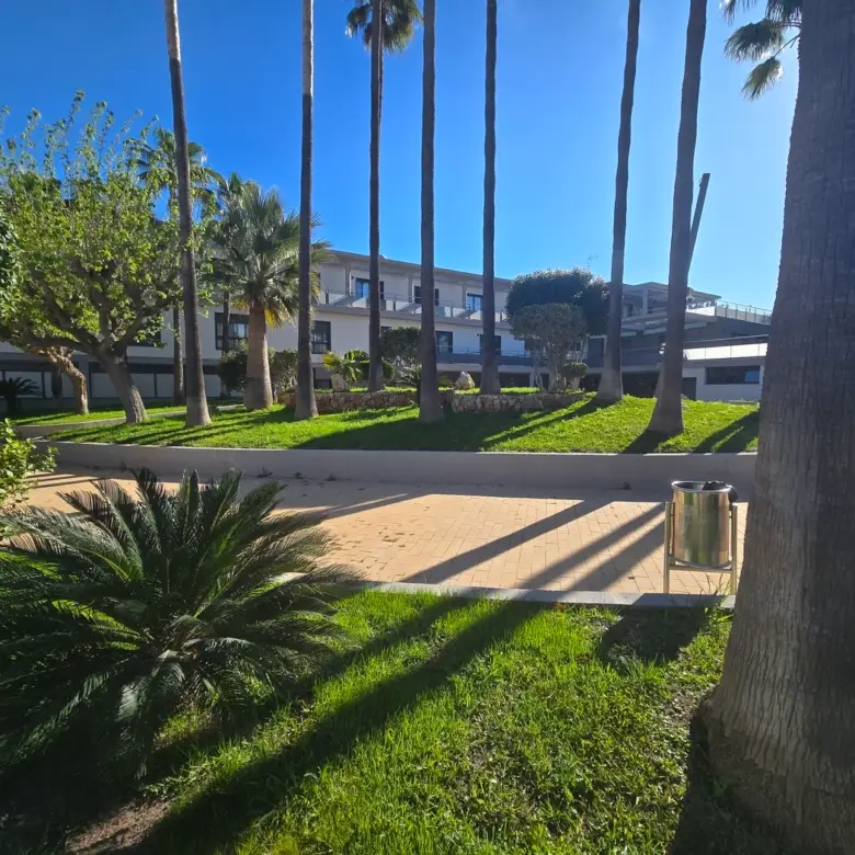 Residencia Acuna Cesped Palmeras