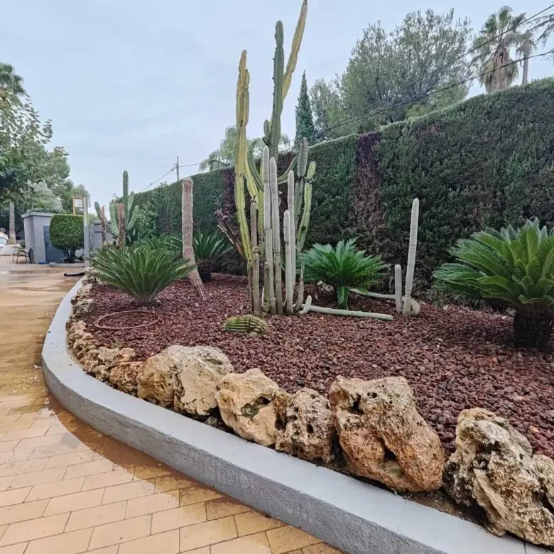 Residencia Acuna Grava Volcánica y Cactus