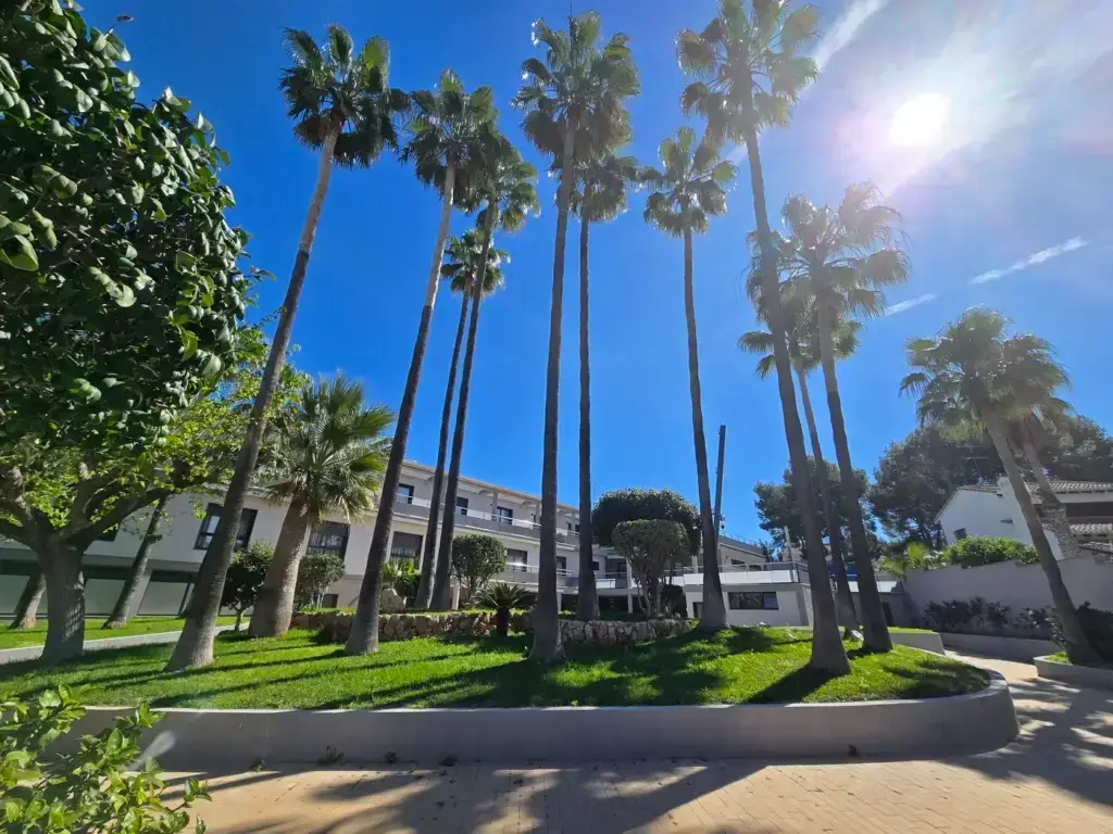 Residencia Acuna Palmeras