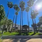 Residencia Acuna Palmeras