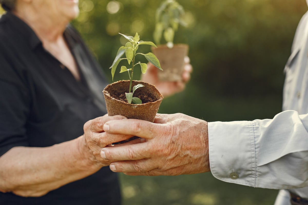 Actividades Sostenibles para la Tercera Edad