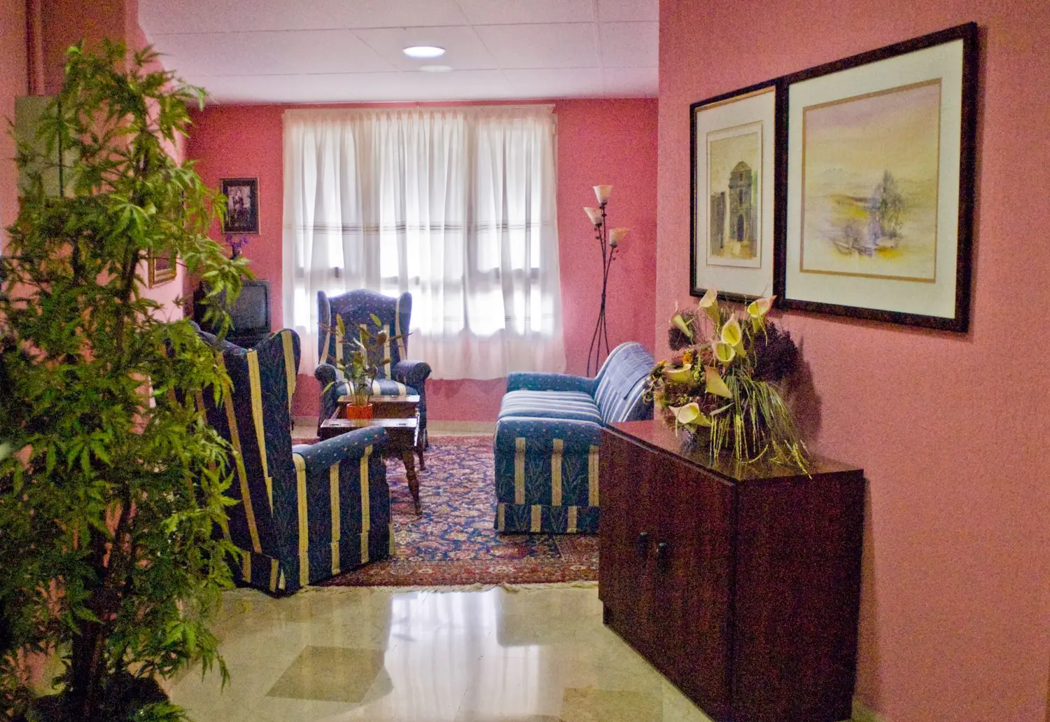 Residencia-Colisee-Las-Rozas-Salon