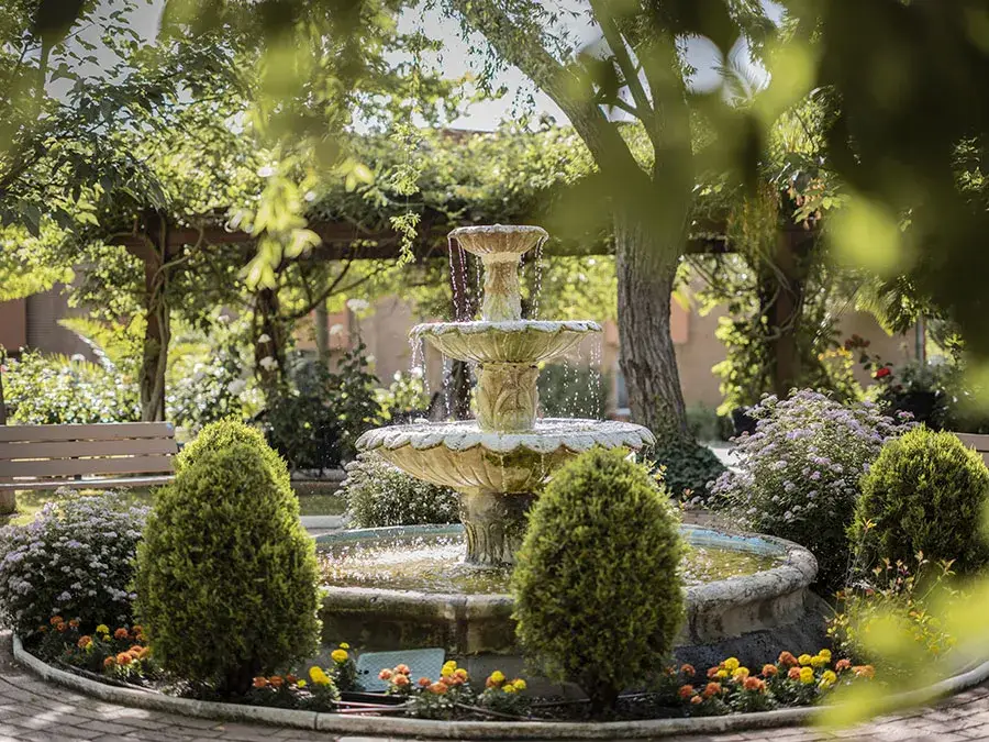 Residencia Lopez Rumayor jardin