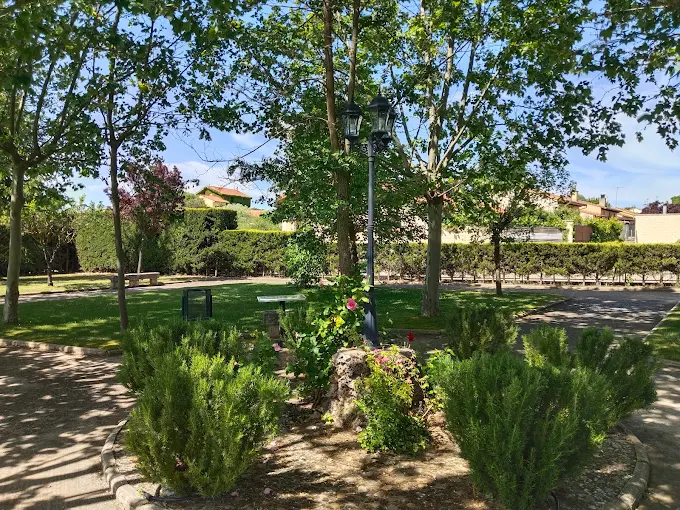 Mimara Quintana Redonda Residencia de Mayores Jardin