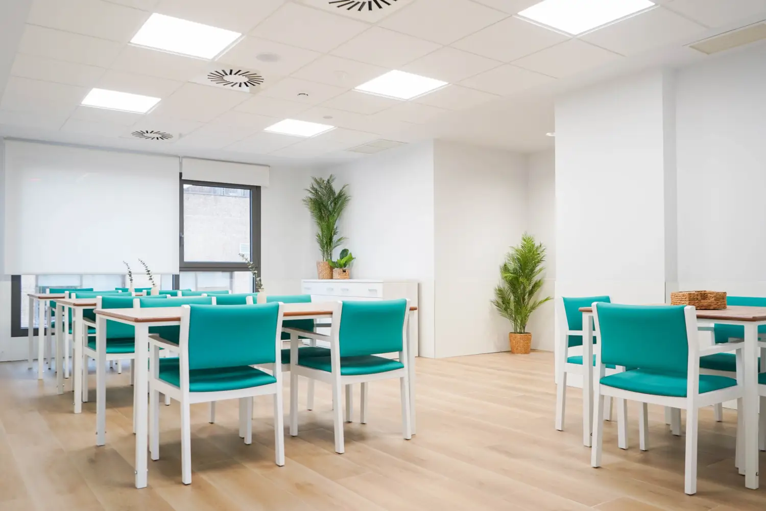 grupo-5-cian-madrid-comedor