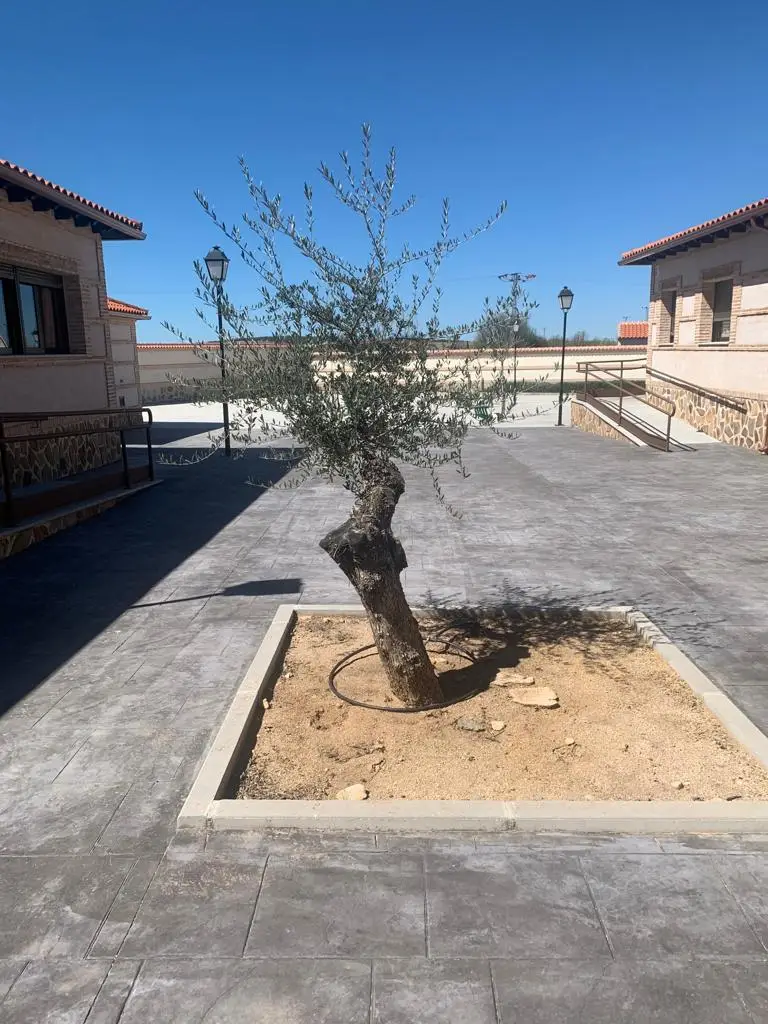 residencia-inmaculada-concepcion-totanes-toledo-exterior