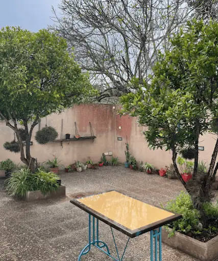 Mimara Algaida - Centro de Día